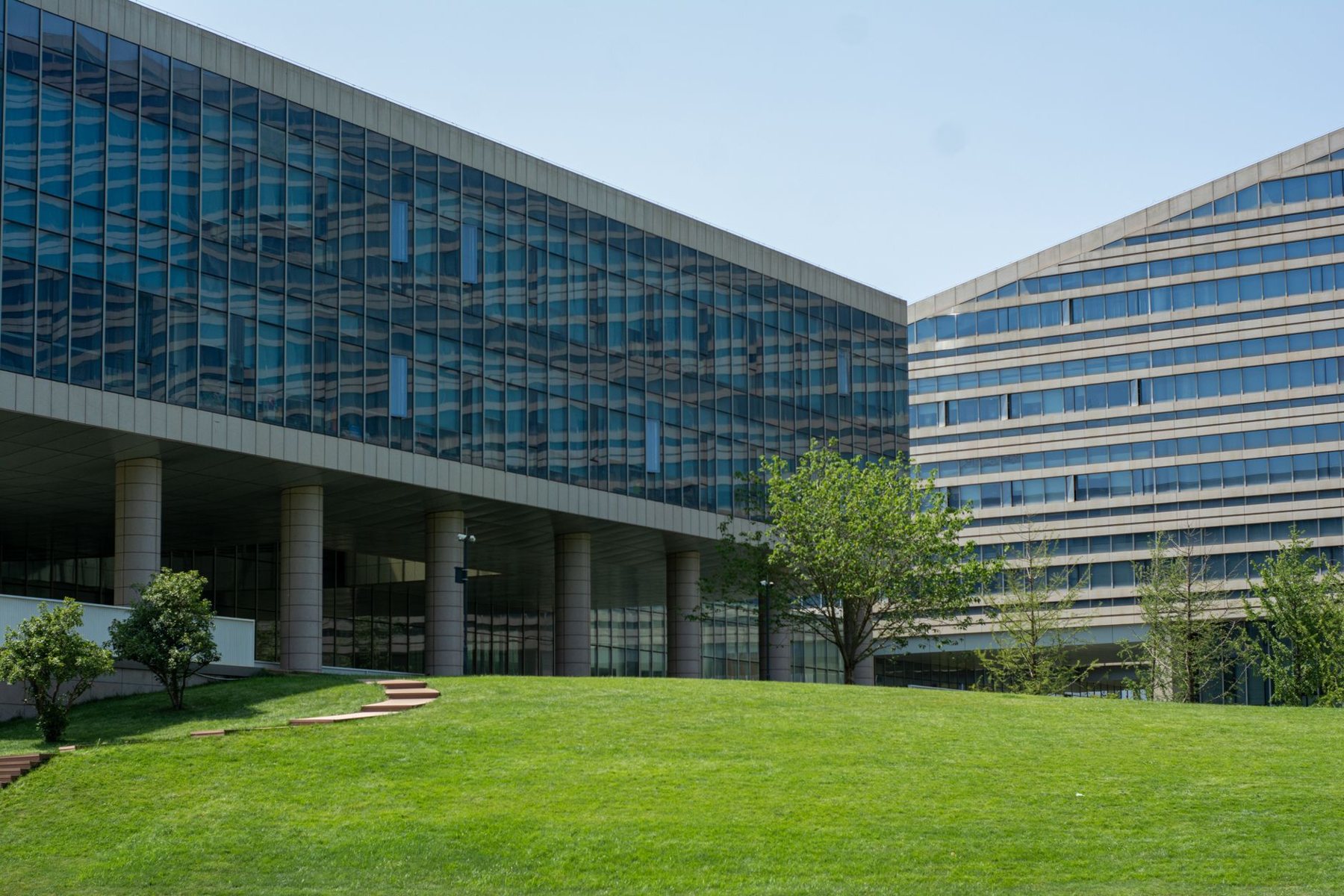 Commercial & HOA Turf in Glendale AZ